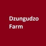 dzungudzo